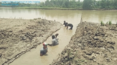 Bojongcae Alur Masuk